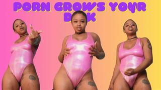 Porn Grows Your Dick 1
