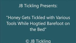 Honey Hogtied for Tickling - SD