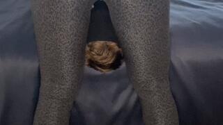 21min FACE SITTING REVERSE AND FRONT HEADSCISSOR KO ONLY $15