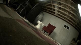 My Jiggling Makes You Cum