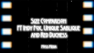 Size comparison ft Indy Fox Unique, Sablique and Red Duchess