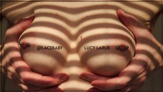 Evening Light Closeup Tit Play