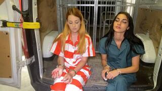 The second edition of Police Day - Part 2