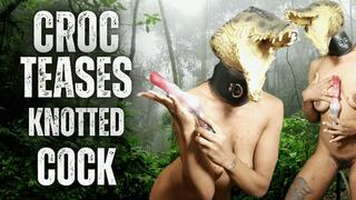 Croc Teases Knotted Cock