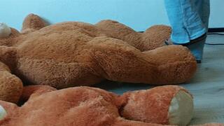 Sandra is trampling and crushing 2 Big bears barefoot and with sexy Birkenstocks