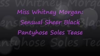 Miss Whitney Morgan: Sensual Sheer Black Pantyhose Soles Tease pt1 - mp4