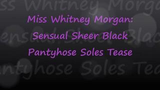 Miss Whitney Morgan: Sensual Sheer Black Pantyhose Soles Tease pt1 - wmv