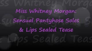 Whitney Morgan: Sensual Pantyhose Soles & Lips Sealed Tease - mp4