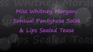 Whitney Morgan: Sensual Pantyhose Soles & Lips Sealed Tease - wmv