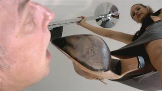 WorshipDominationHumiliation (MP4)