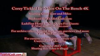 Corey Tickled By Milos On The Bench 4K