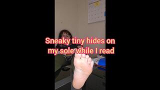 Sneaky tiny hides on my sole while I read