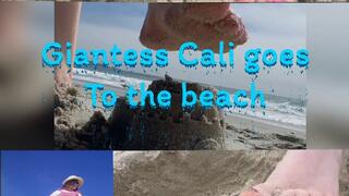 Giantess Cali goes to the beach