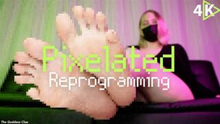 Pixelated Reprogramming - 4K