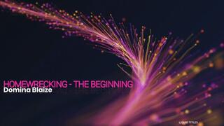 Homewrecking - the beginning