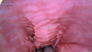 Pulsing Gspot 6 Orgasms