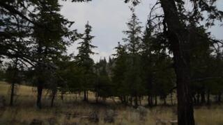 Wilderness Punishment Part 3 of 5 - Trampling