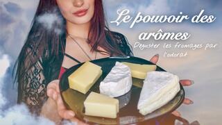 Dégustation de fromages par l’odorat CHEESE SMELLING FRENCH