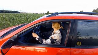 Honk the horn! (customer request)