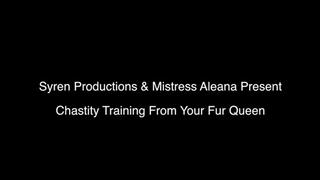 Chastity Training From Your Fur Queen (1080p)