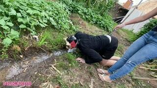 Slave Pig Humiliation Eat Mud and Grass by Princess Deh # 1080HD
