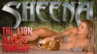 Sheena The Lion Sleeps Tonight