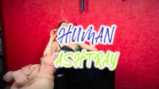 HUMAN ASHTRAY ANGLE 2