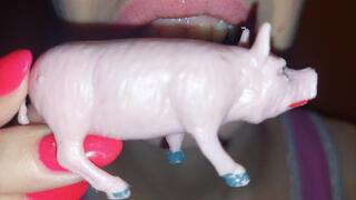 I lick a pig