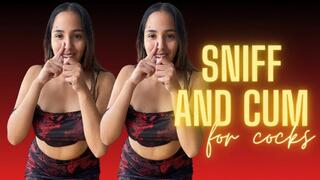 SNIFF AND CUM FOR COCKS
