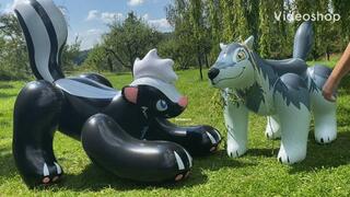 skunk and wolf bounce