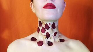 Rose petals on a long neck