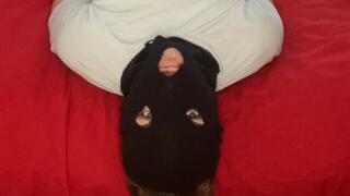 reverse black leggings Ko