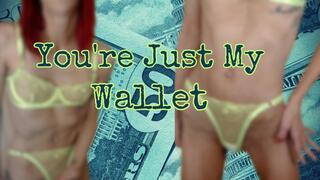 You're Just My Wallet