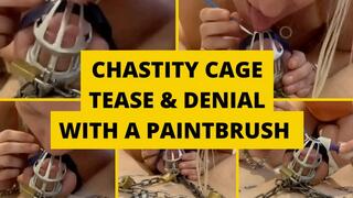 Chastity Cage Tease & Denial with a paintbrush