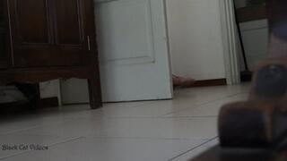 humiliation undertable featuring Alice