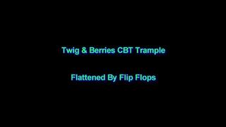 Flattened By Flip Flops