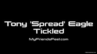 Tony (Spread) Eagle Tickled On The Table