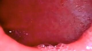 Empty Stomach Full Stomach - Digestion of meat in fullscreen 1080HD