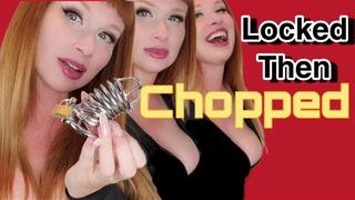 Locked Then Chopped SD WMV