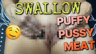 Swallow Puffy Pussy Meat (HD) WMV