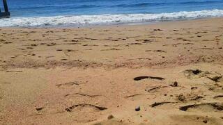 Sandy Beach Feet (mkv)