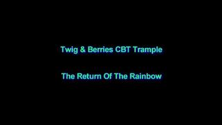 The Return Of The Rainbow