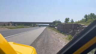 Roadside Peeing