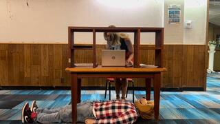 It's Take your Slave to Work Day