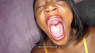 Big Big Yawns Non Stop