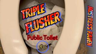 TRIPLE FLUSHER - PUBLIC TOILET