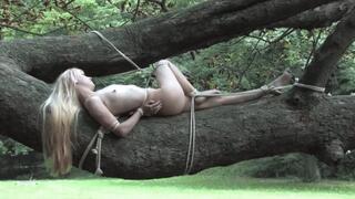 bondage tree with Tiny Lolicoon - wmv 720p