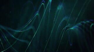 Underdesk Feet *wmv*