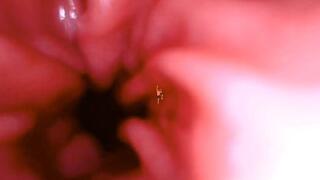 Shrunken inside my mouth and inside my stomach 4K