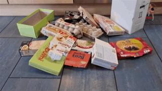 Cardboard boxes trample 4